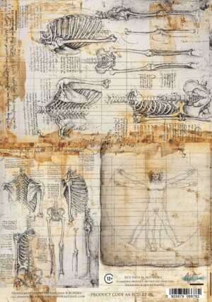 rice paper | behind closed doors 3 | a4 21x29.7 cm | 25 30 g | art of alchemy