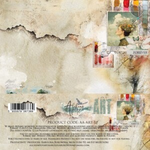6x6 scrapbook paper pack | art | 24 double sided sheets | alchemy of art